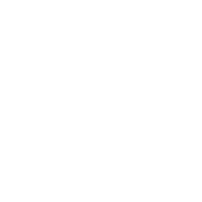 Home Icon